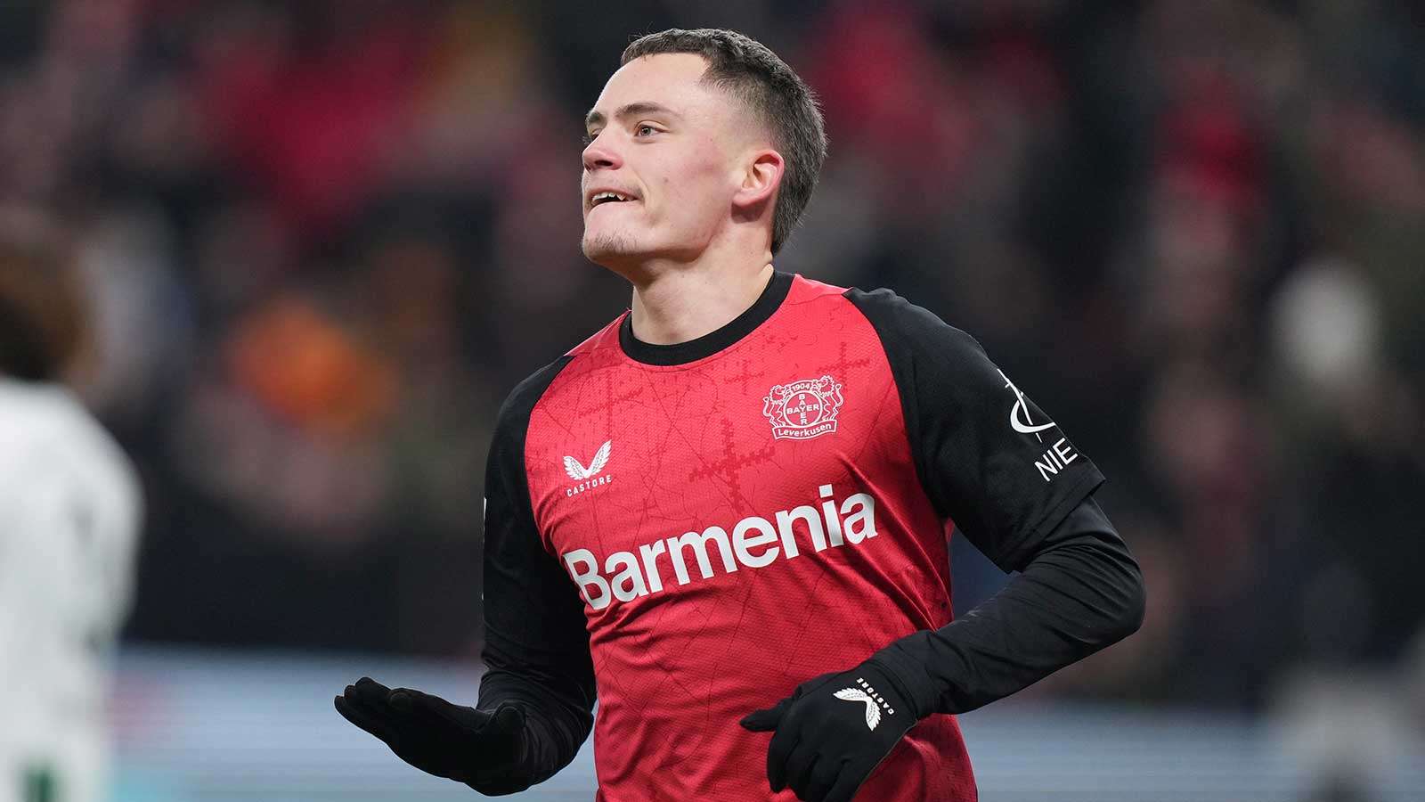 却因部分球 却因部分球